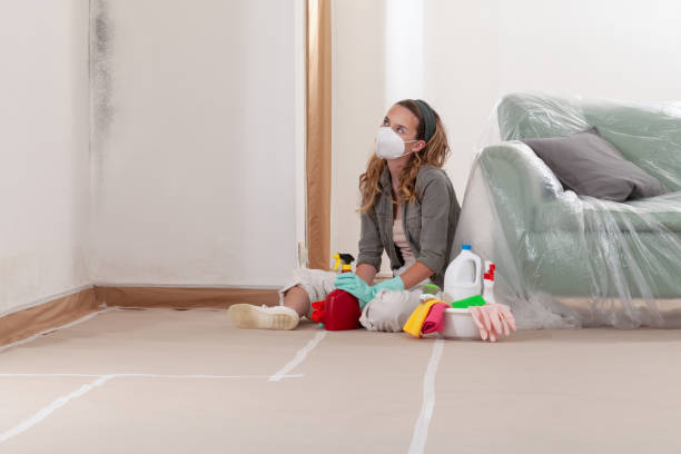 Reliable Mold Remediation contractor in Franklin, MI by WQB Mold Removal